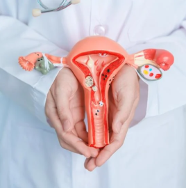 Cervical and Ovarian Cancers