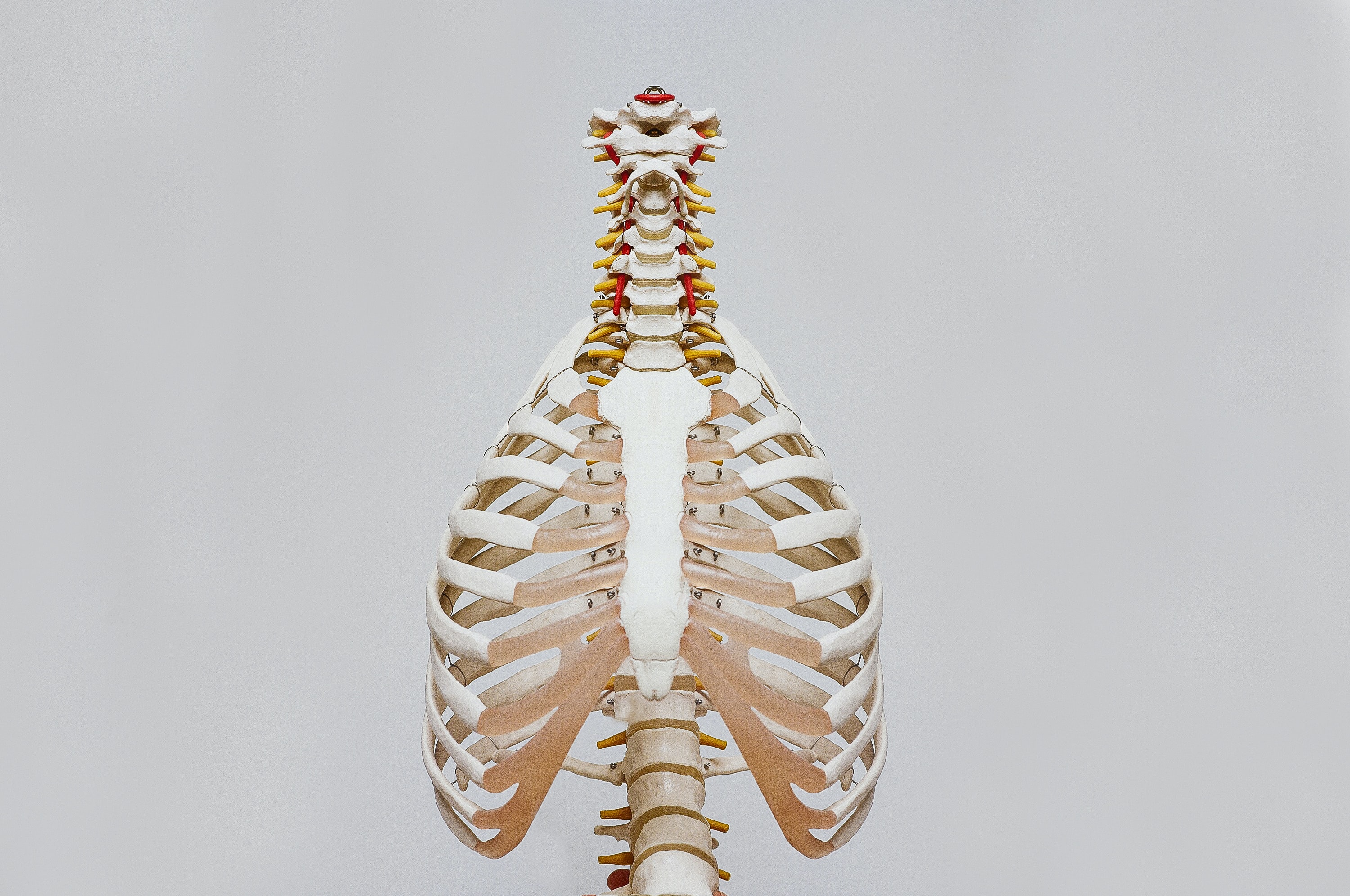 Osteoporosis - Take The Quiz!